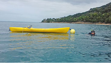 Partez en Kayak dans la baie avec le matériel PMT (fourni) pour explorer les fonds-marins
