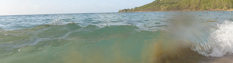 Contrairement aux idées reçus, c'est rare qu'il y ai de grosse vagues sur la plage de Grande-Anse à Deshaies Guadeloupe