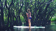 MKG Centre nautique vous propose à la location des stand-up paddle pour profiter de la mangrove en Guadeloupe