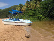 Location de pédalos pour une balade en famille ou entre amis dans la mangrove en guadeloupe, deshaies