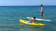 Location de kayak et paddle en mer à grande-anse Deshaies guadeloupe à partir de 12 euros.