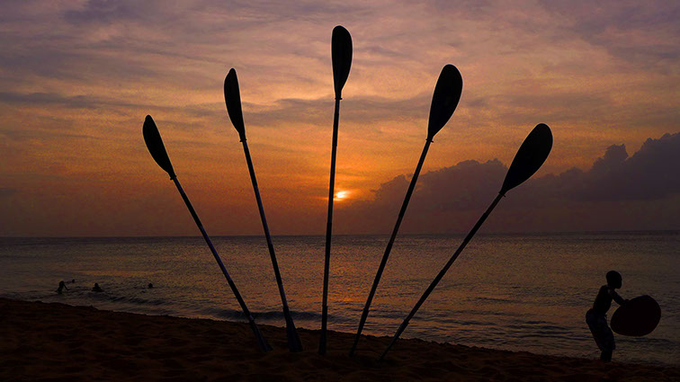 L'arbre du pagayeur au soleil couchant, wahou !© MKG Centre Nautique